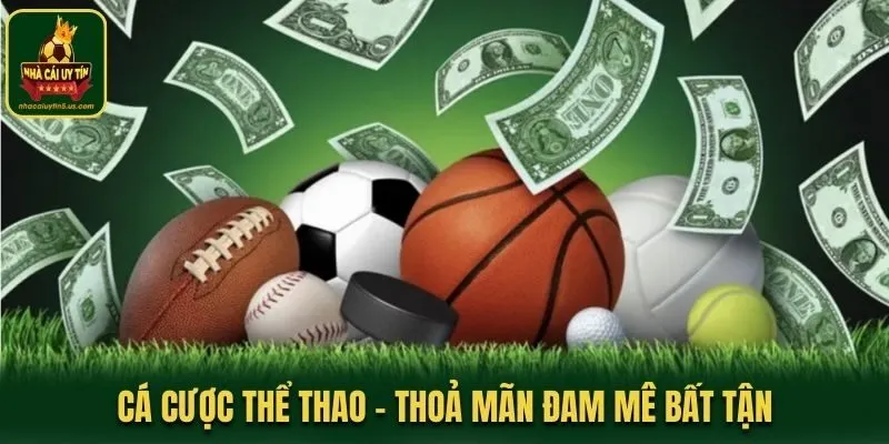 Cá Cược Thể Thao - Thoả Mãn Đam Mê Cùng Trận Cầu Bất Tận