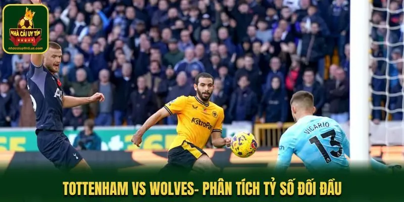 Soi kèo Tottenham vs Wolves - thống kê dữ liệu đối đầu