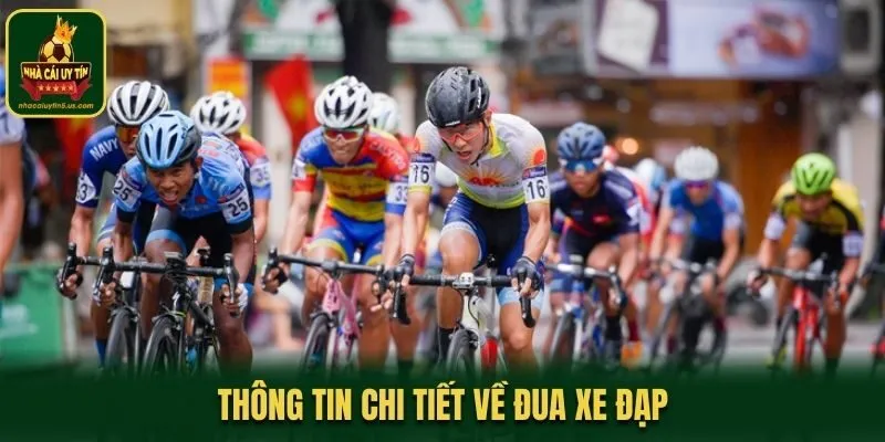 Thông tin chi tiết về đua xe đạp